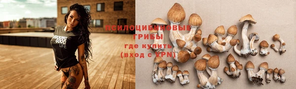 spice Богданович