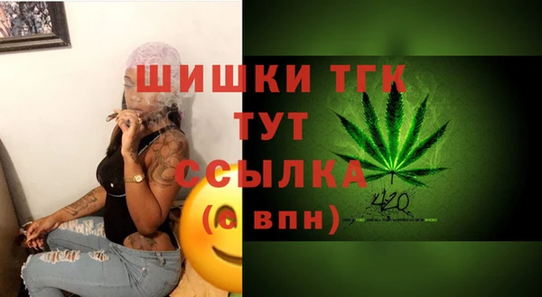 дмт Богородицк