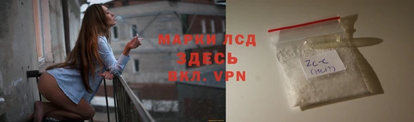 spice Богданович
