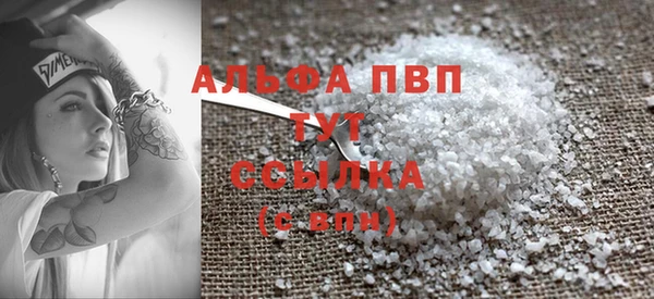spice Богданович