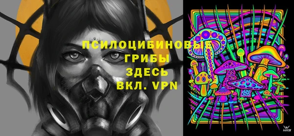 дмт Богородицк