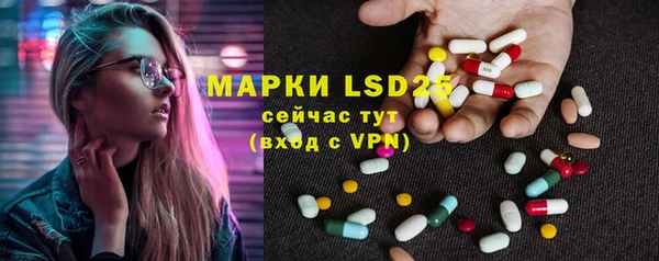 spice Богданович