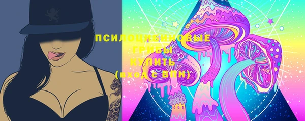 spice Богданович