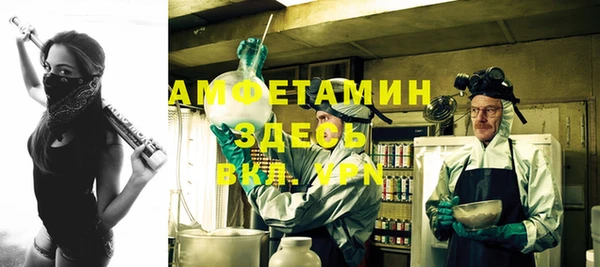дмт Богородицк