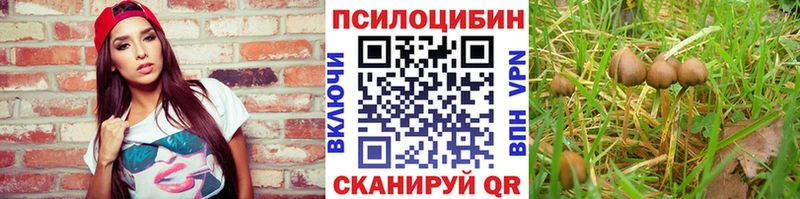 Псилоцибиновые грибы MAGIC MUSHROOMS  цена наркотик  Махачкала 